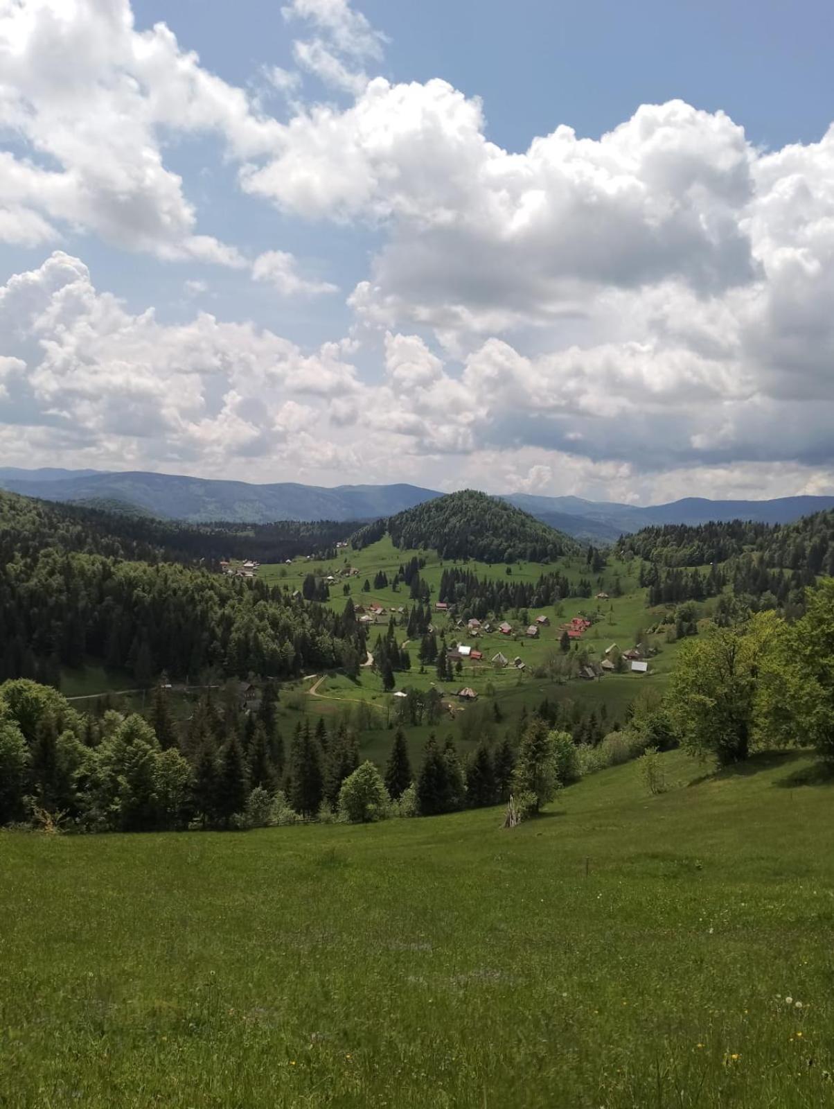 Cabana Colt De Munte Gîrda de Sus Exteriör bild